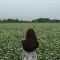 工艺美术品及收藏品零售的会计实务解析